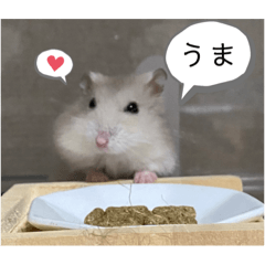 omochi_20221229140411