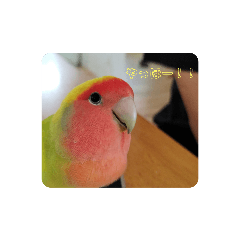 aoi_20221229144934