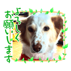 yun_2022122915002512
