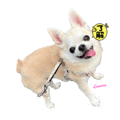 shiho_20221230095616