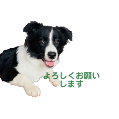 元気いっぱいなクリーム