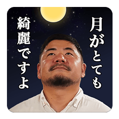 Shimbashi Koi Story Sticker vol.2