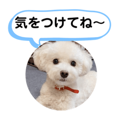 かねねんのうめ吉くん⑤