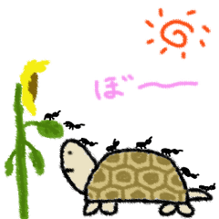 tortoise name bonta