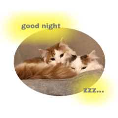 emily_20221229215309