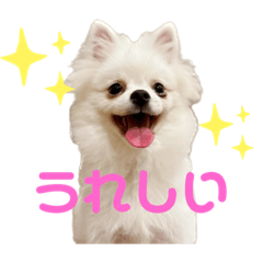 hokorichan_20221229231112