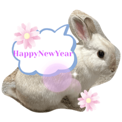 mary_20221230005100
