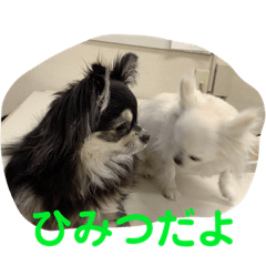 toranosuke_20221230005836