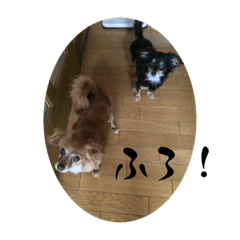 suzu_20221230021938