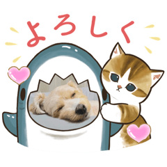 hanaichiyuu