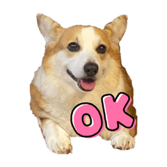 natsumi_20221229185843