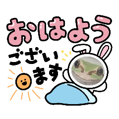 yayoi_20221230120814