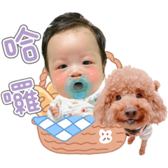 若溦寶寶