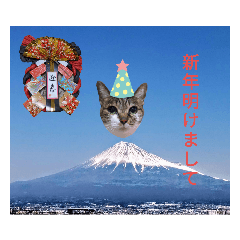 Tom_20221229234152