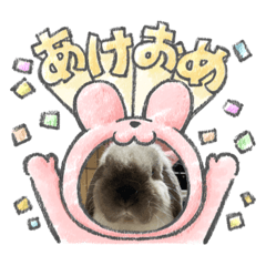 Nozomi_20221230151202