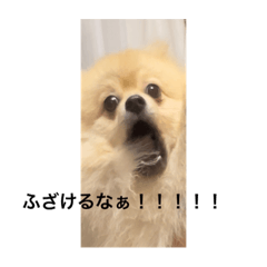 zaku_20221230141948