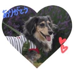 natsumi_20221230160018