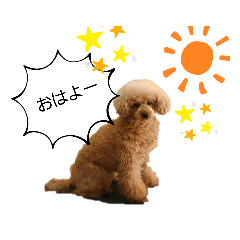 msk_20221230183503