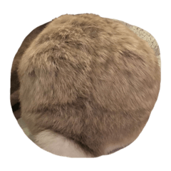 omochi_20221230184155
