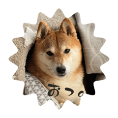 yuka_20221230184302