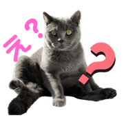 aki_20221230201837