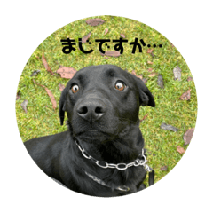 misa_20221230201639