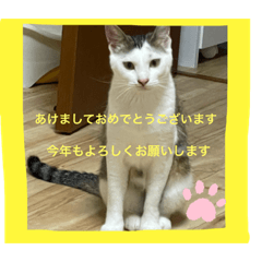 hana_20221230163159
