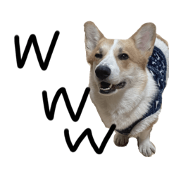 mizuki_20221230214558