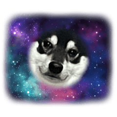 asako_20221230185146