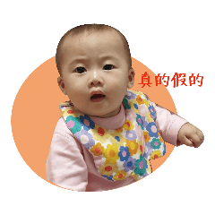 心心寶寶的日常2