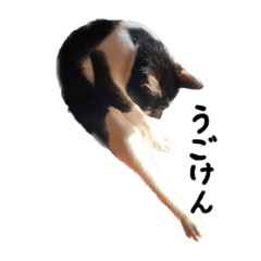 Mizuki_20221230230622