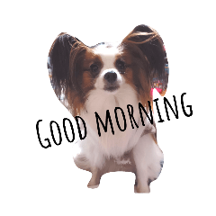 mocomoco_20221231012513