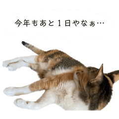 shunta hatanaka_20221231013619