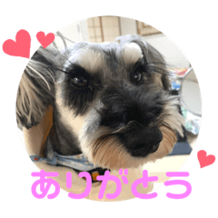 Mizuki_20221230142300