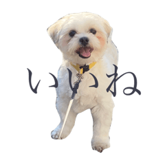 Mizuki_20221230222157