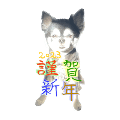takuya_20221230235952