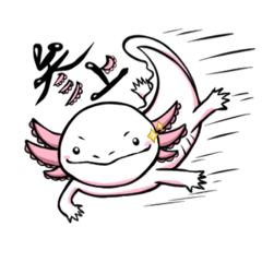 axolotl  woofer looper