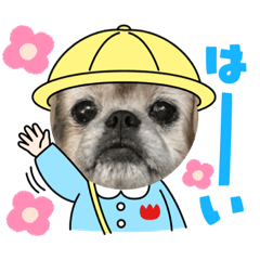 yuka_20221230200140