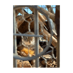 Hiyori_20221230155627