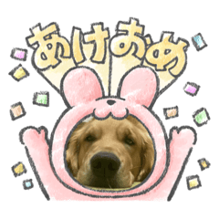 RuRu_20221231023350