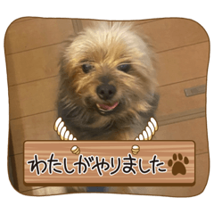 yumu_20221230174656