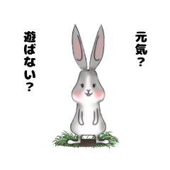 comical :rabbit