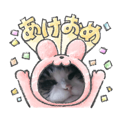 rUrU_20221231081657
