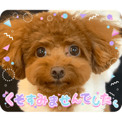 makisaku_20221230212115