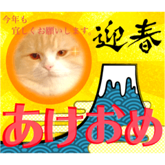 yuka_20221231054333
