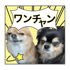 shiho_20221231021743