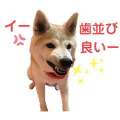 Shiho_20221231141453