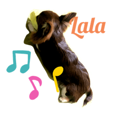 Momoko_20221231135302