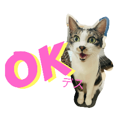 R-max_20221230183059