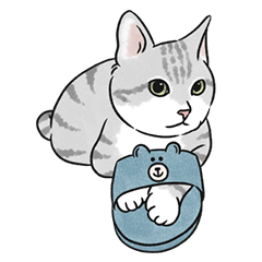 hanchi cat - grey & white tabby sticker